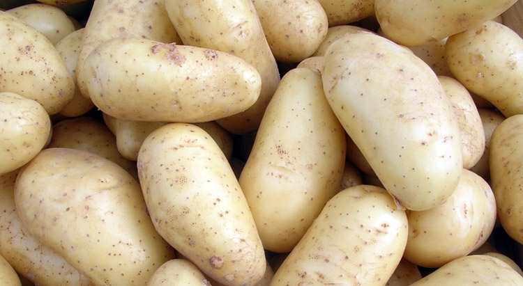 Fakty i mity o ziemniakach
