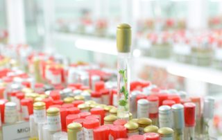 22548721_122227461870590_3561743346594955725_o