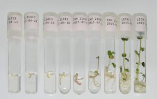 22548732_122224055204264_9199715357531279771_o