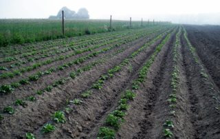 22555405_122207435205926_592833632870388504_o