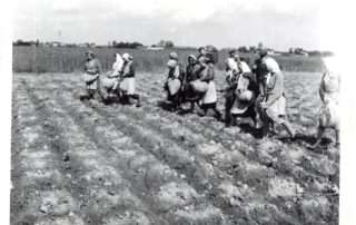 22713377_126441821449154_6059603135285590864_o