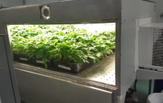 22769752_126522244774445_320018105220992159_o