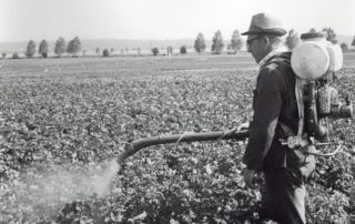 22769799_126441908115812_6134541992430858251_o