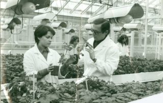 22769919_126442211449115_7316630091103712376_o