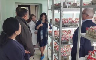 22791631_126515131441823_2153845133034966956_o