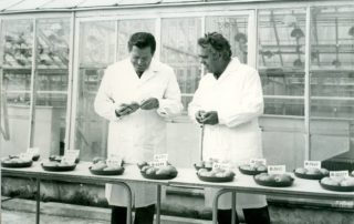 22792216_126442251449111_5567028677142810800_o