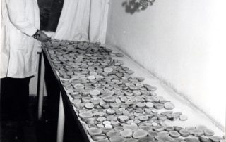 22815342_130203904406279_5128460995370680875_n