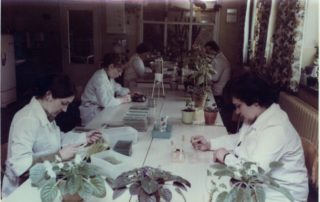 22859883_130203854406284_1678026696062031249_o