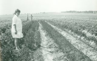 22860146_130203997739603_2521277149048509088_o