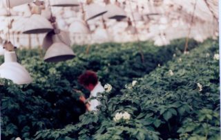 22904588_130203914406278_2134687181938113291_o