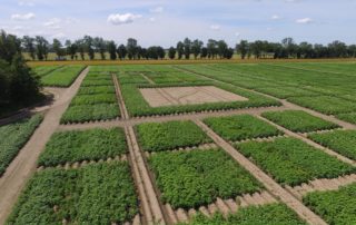 23331335_136800583746611_5498289793535098326_o