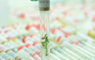 45872912_341702039923130_7862560693348728832_n