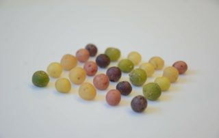 50279598_381922592567741_8436790983235993600_o