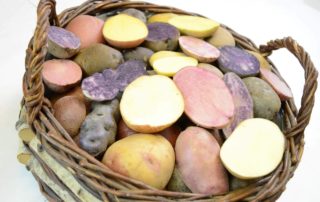 50507932_382282389198428_1597166907088175104_o