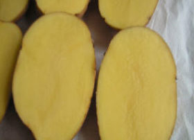 ziemniaki3-1200x275_05