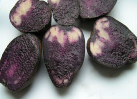 ziemniaki3-1200x275_07