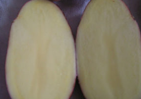 ziemniaki3-1200x275_09