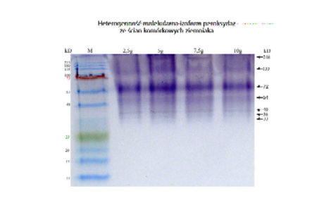 2-PDMiB-(1)