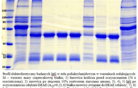5-PDMiB